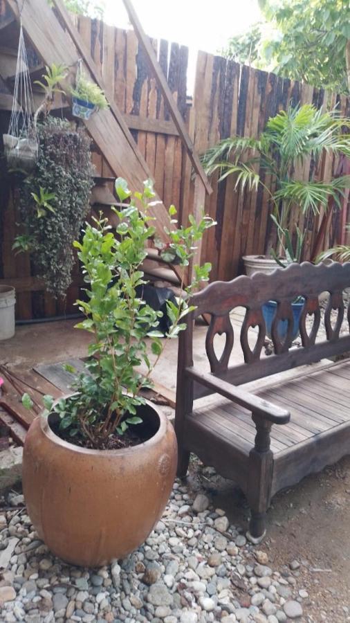 Casa De Kai Mazunte Hotel Ngoại thất bức ảnh